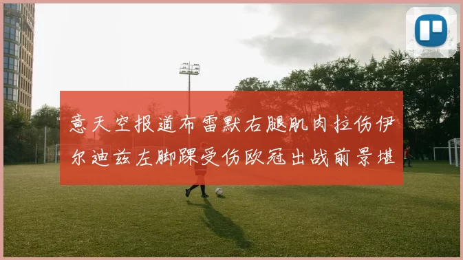 意天空报道布雷默右腿肌肉拉伤伊尔迪兹左脚踝受伤欧冠出战前景堪忧